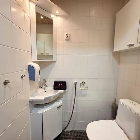 - 10 Hloe, Himos Laensihuippu Villa *