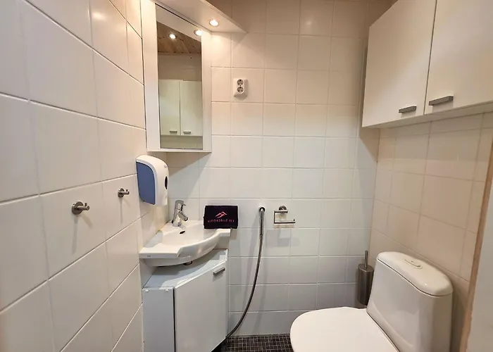 - 10 Hloe, Himos Laensihuippu Villa *